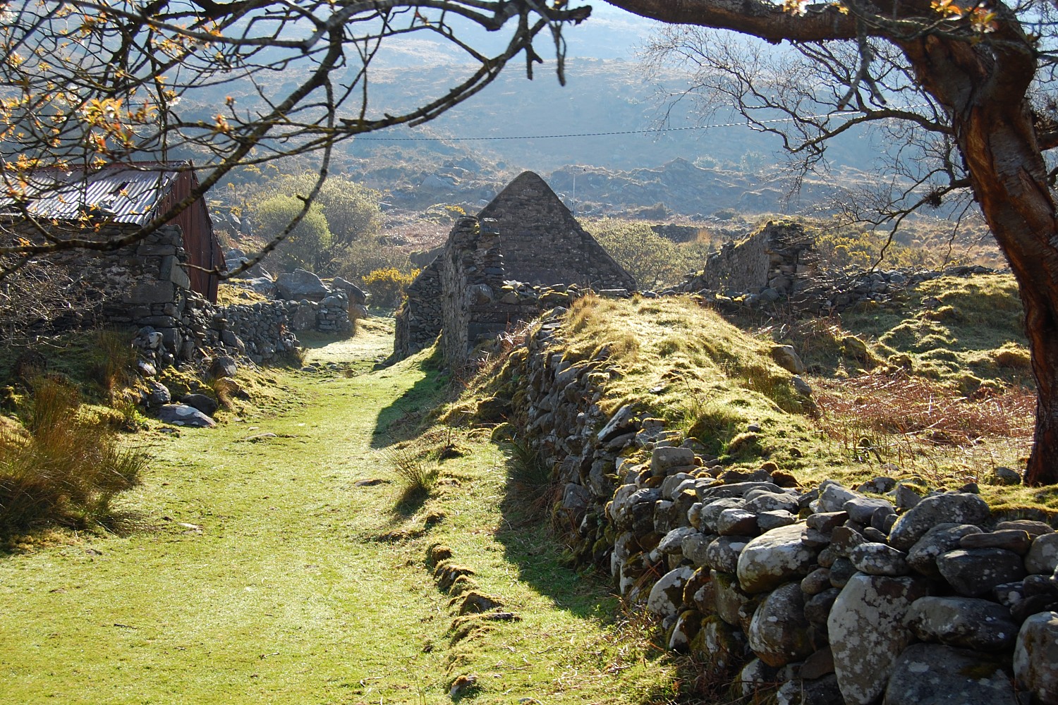 Image 10