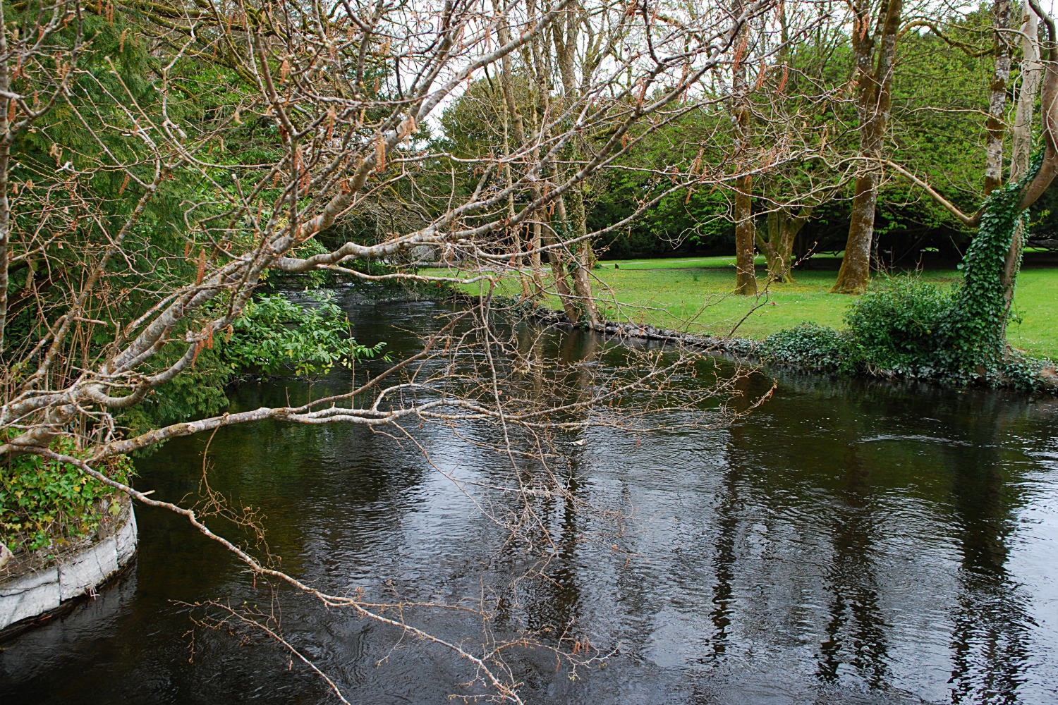 Image 23