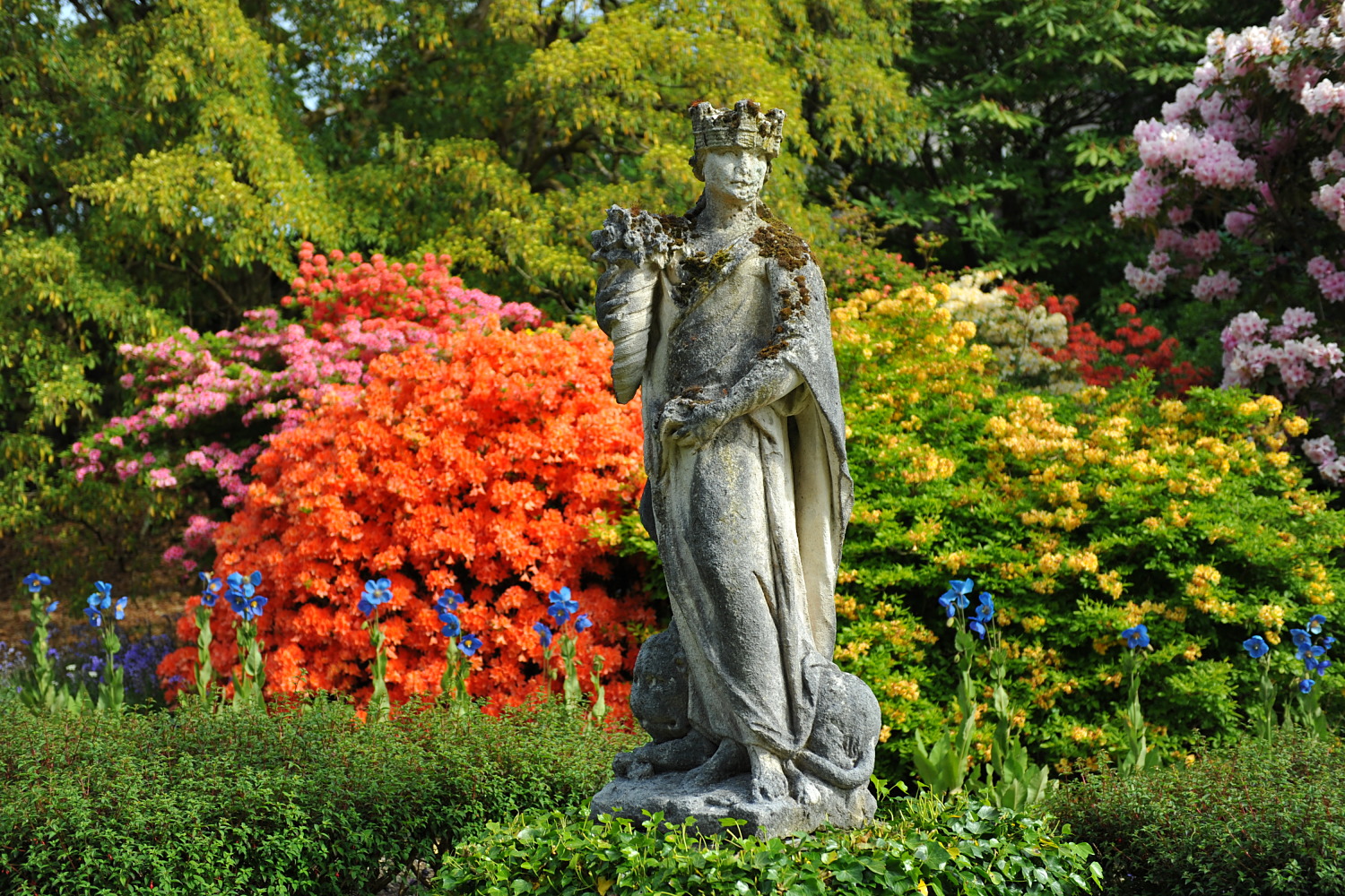 Image 23