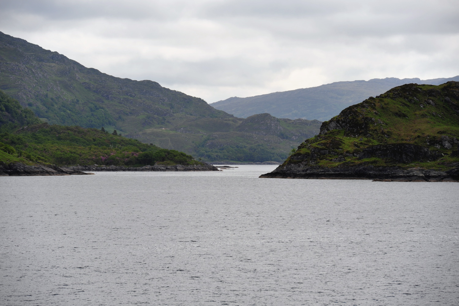 Image 55
