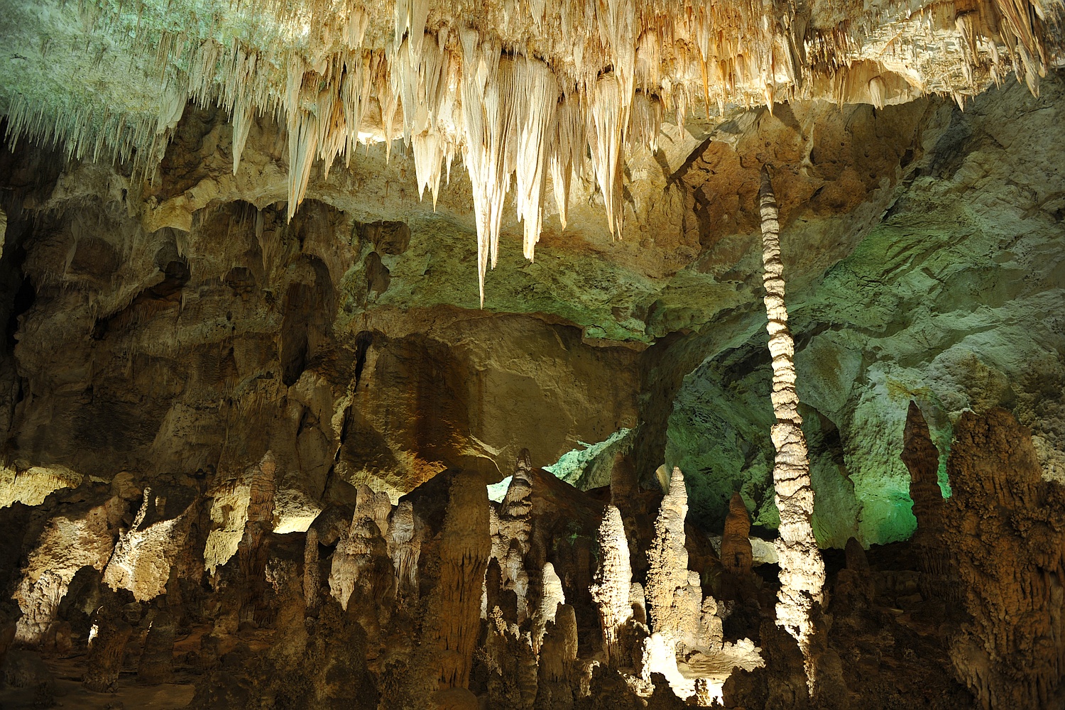 Image 11