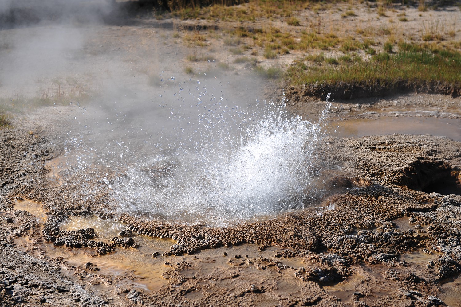 Image 33