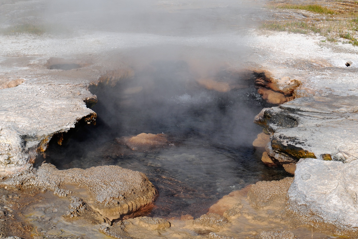 Image 36