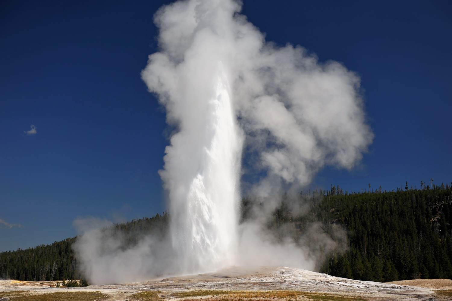 Image 39