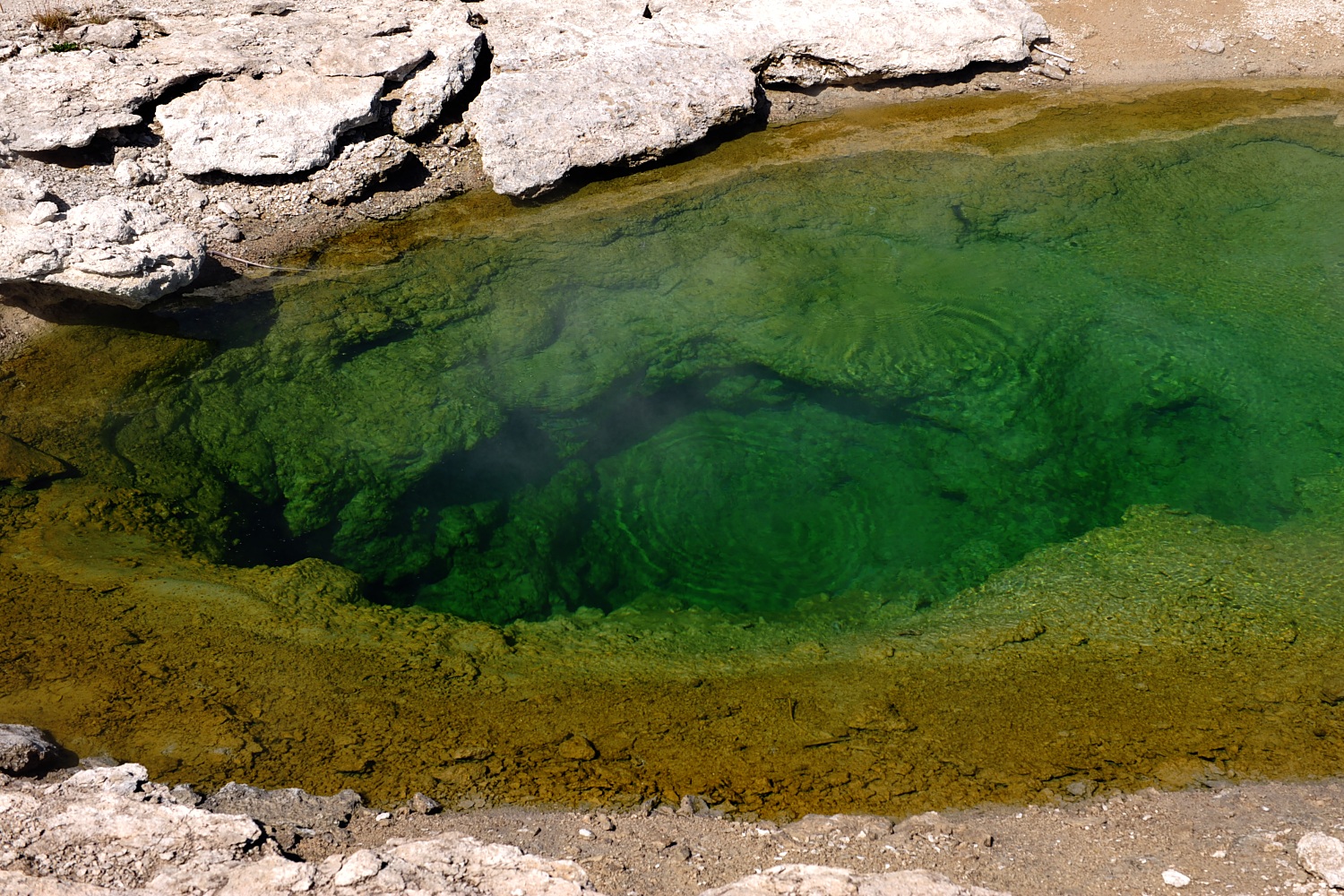 Image 65