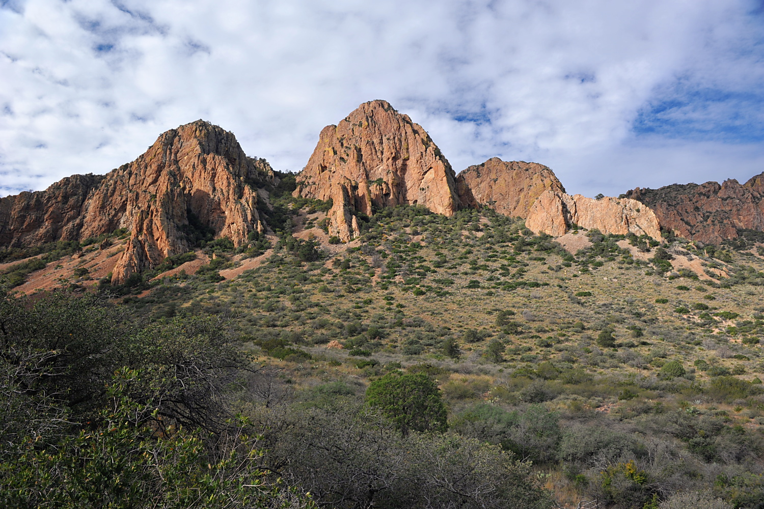 Image 19